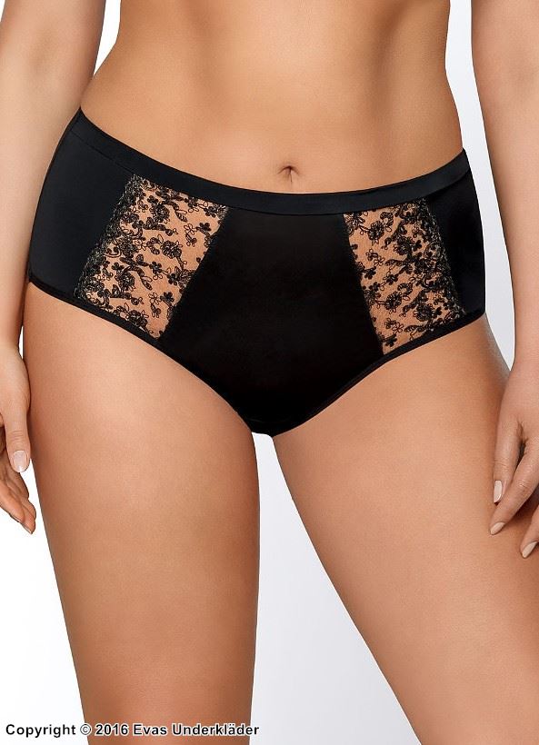 Beautiful briefs, embroidery, sheer inlays